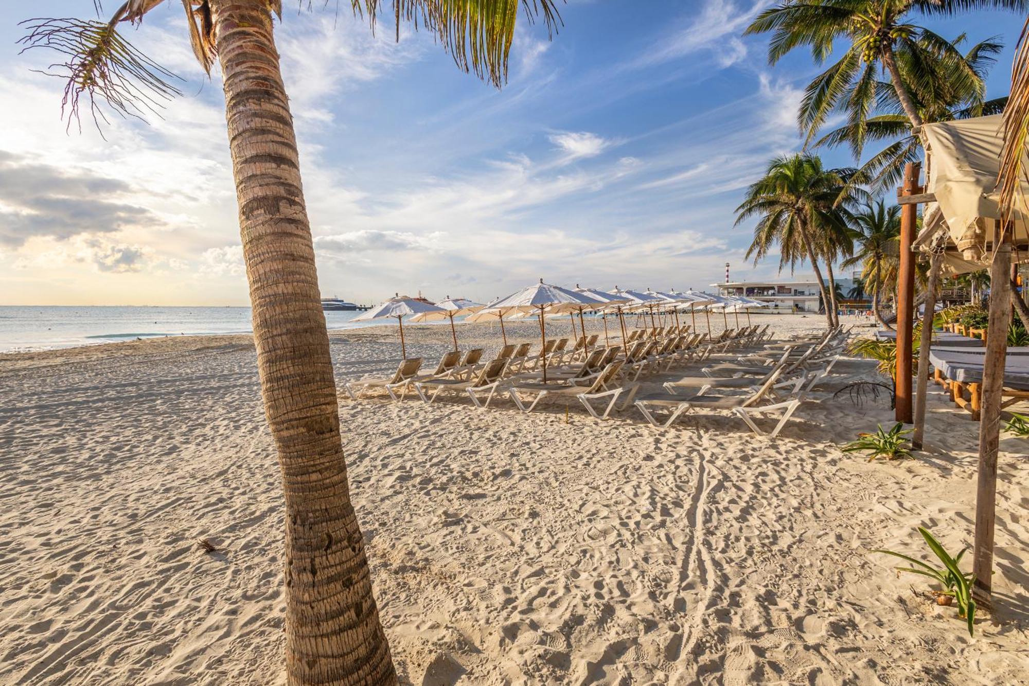 Areia Playa Del Carmen - Beach Front Hotel Dış mekan fotoğraf